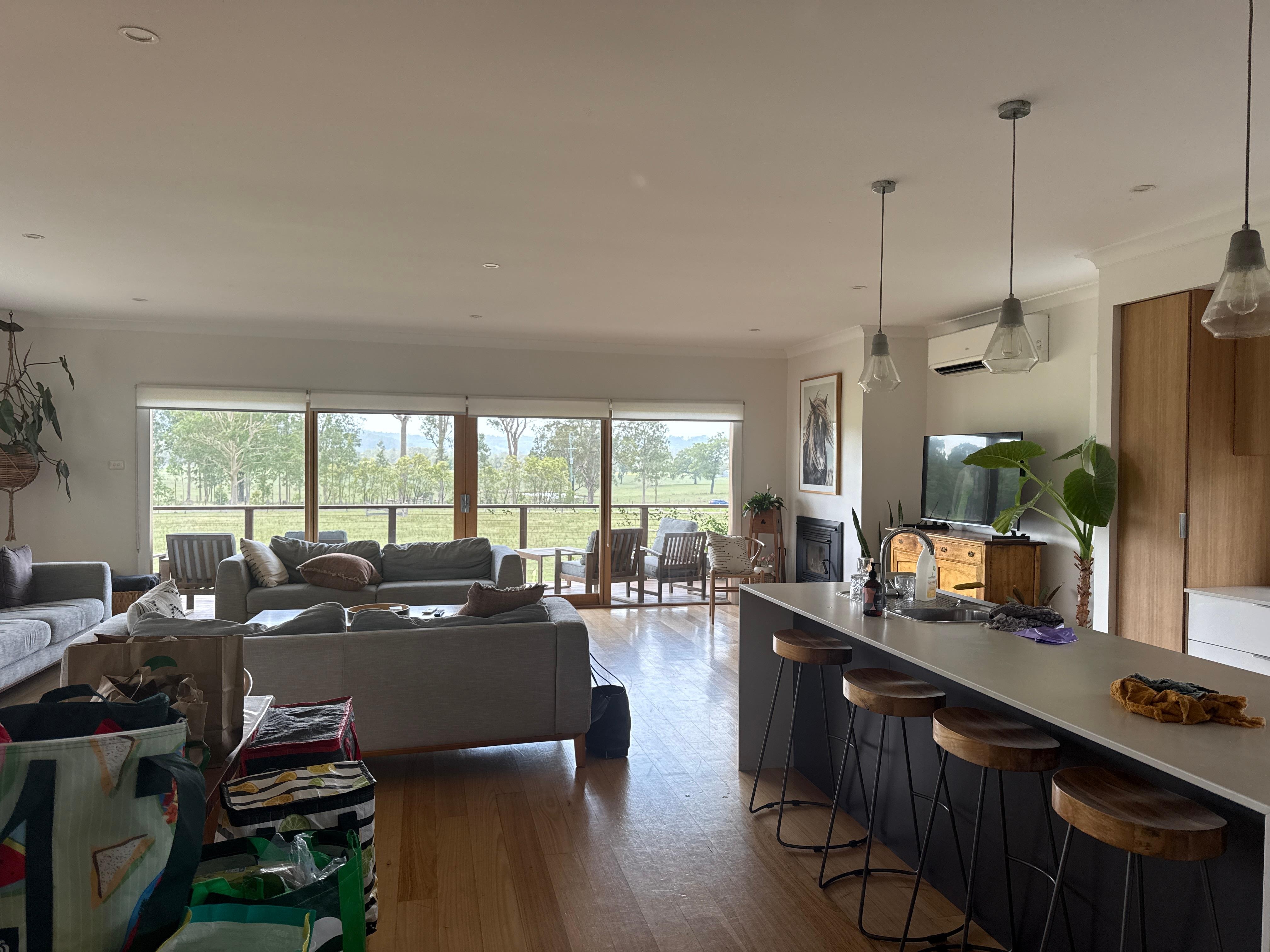 Living room and kitchen