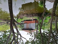 Lush surroundings
