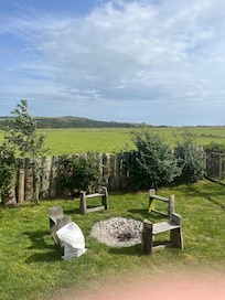 Fire pit (wood available to buy)