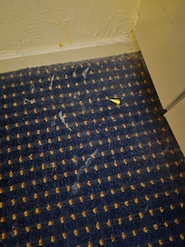 Room was not even properly cleaned