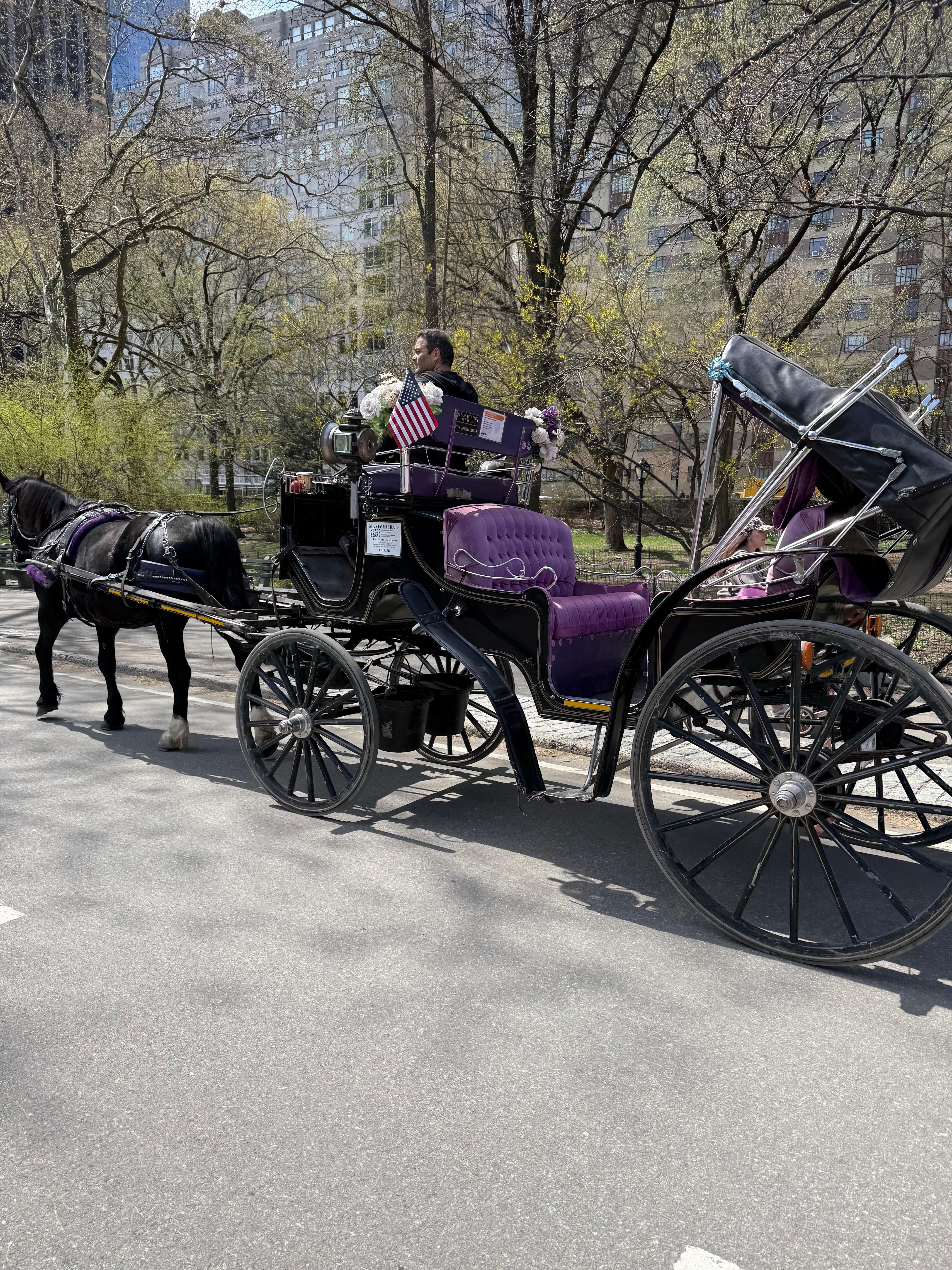 A horse and carriage at Central Park . 
