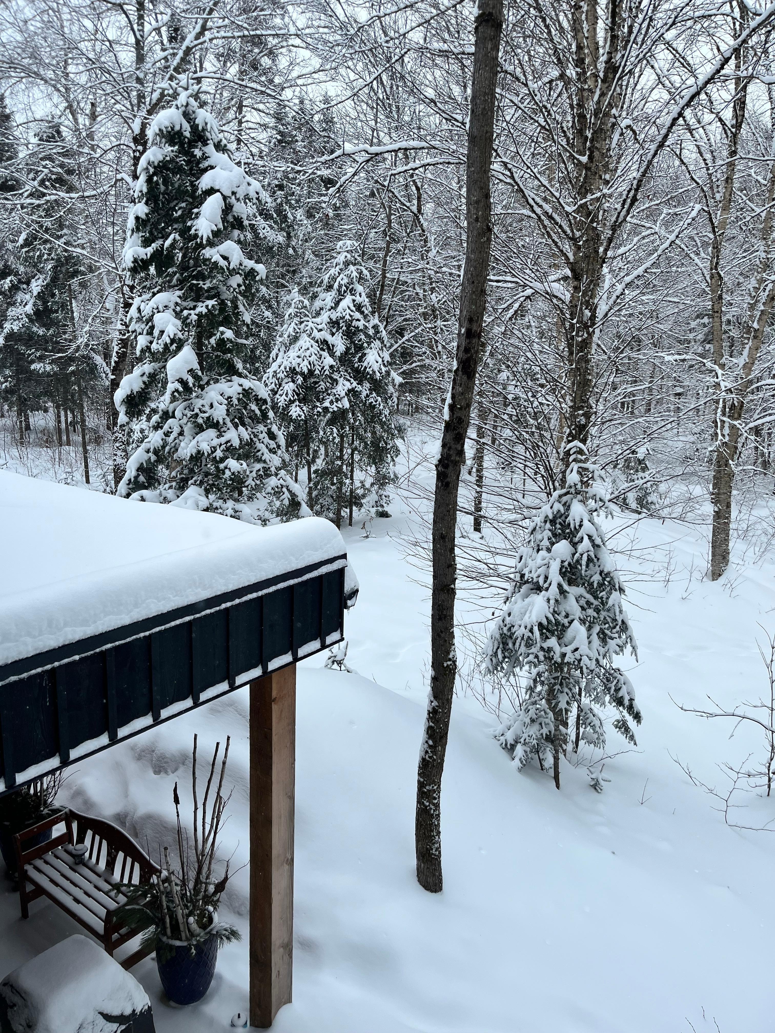 View from kids bedroom 