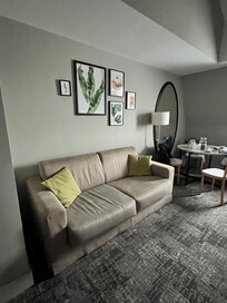Living room area and couch is the pull out bed