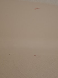 Red stains in the tub ,the manager said was "nail polish".