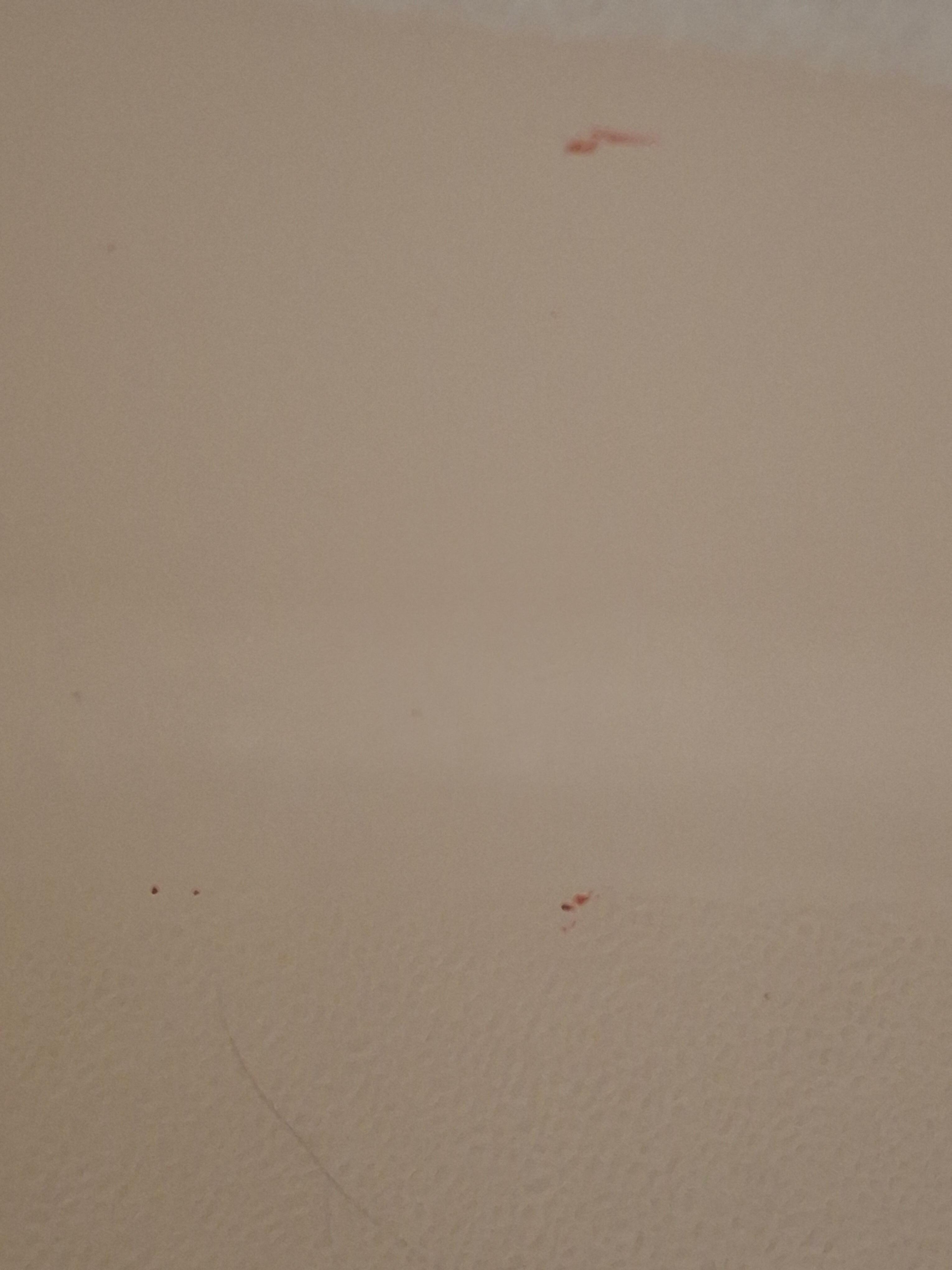 Red stains in the tub ,the manager said was "nail polish".
