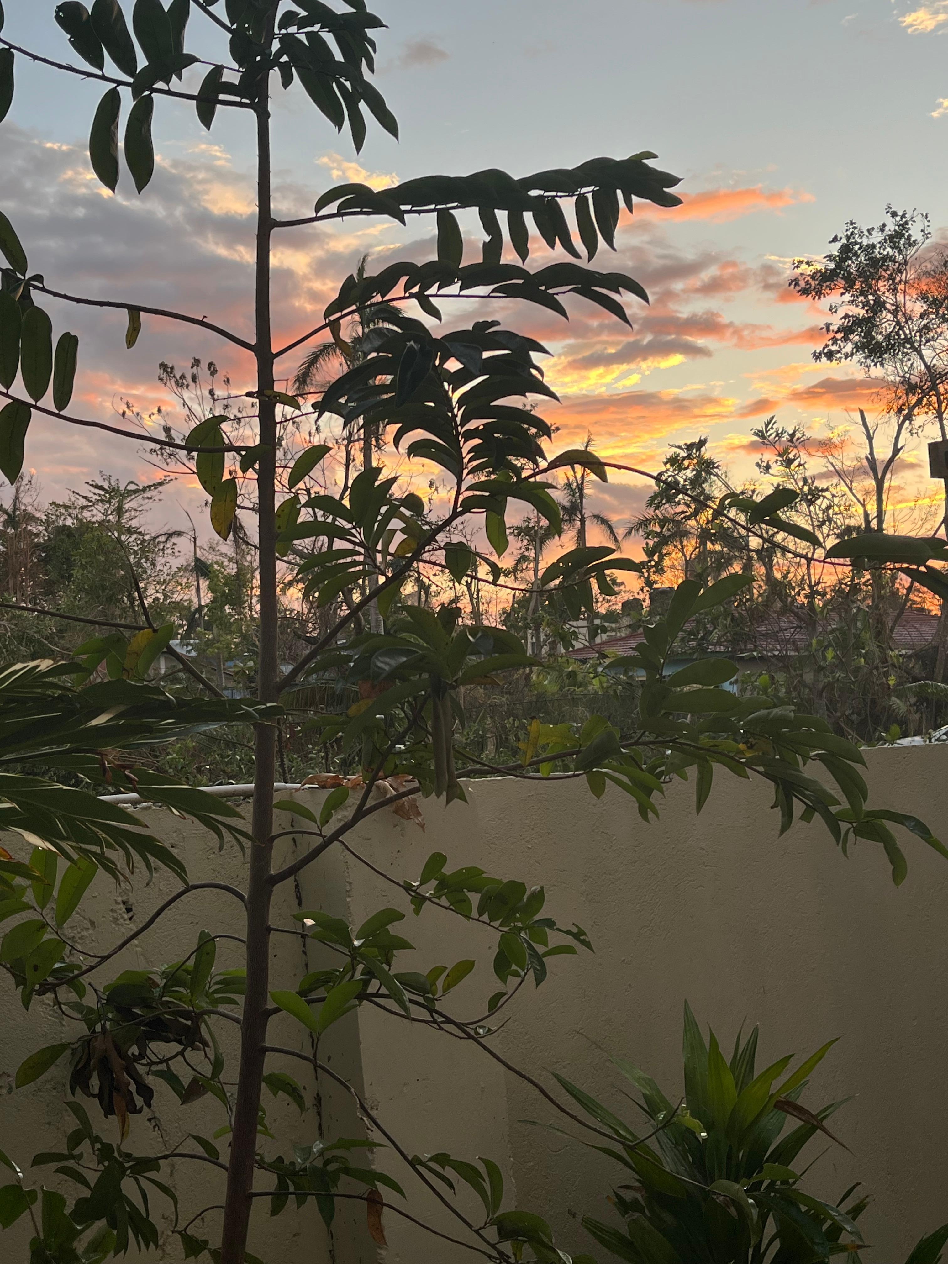 Sunset on my veranda 