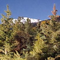 Past the creek out back