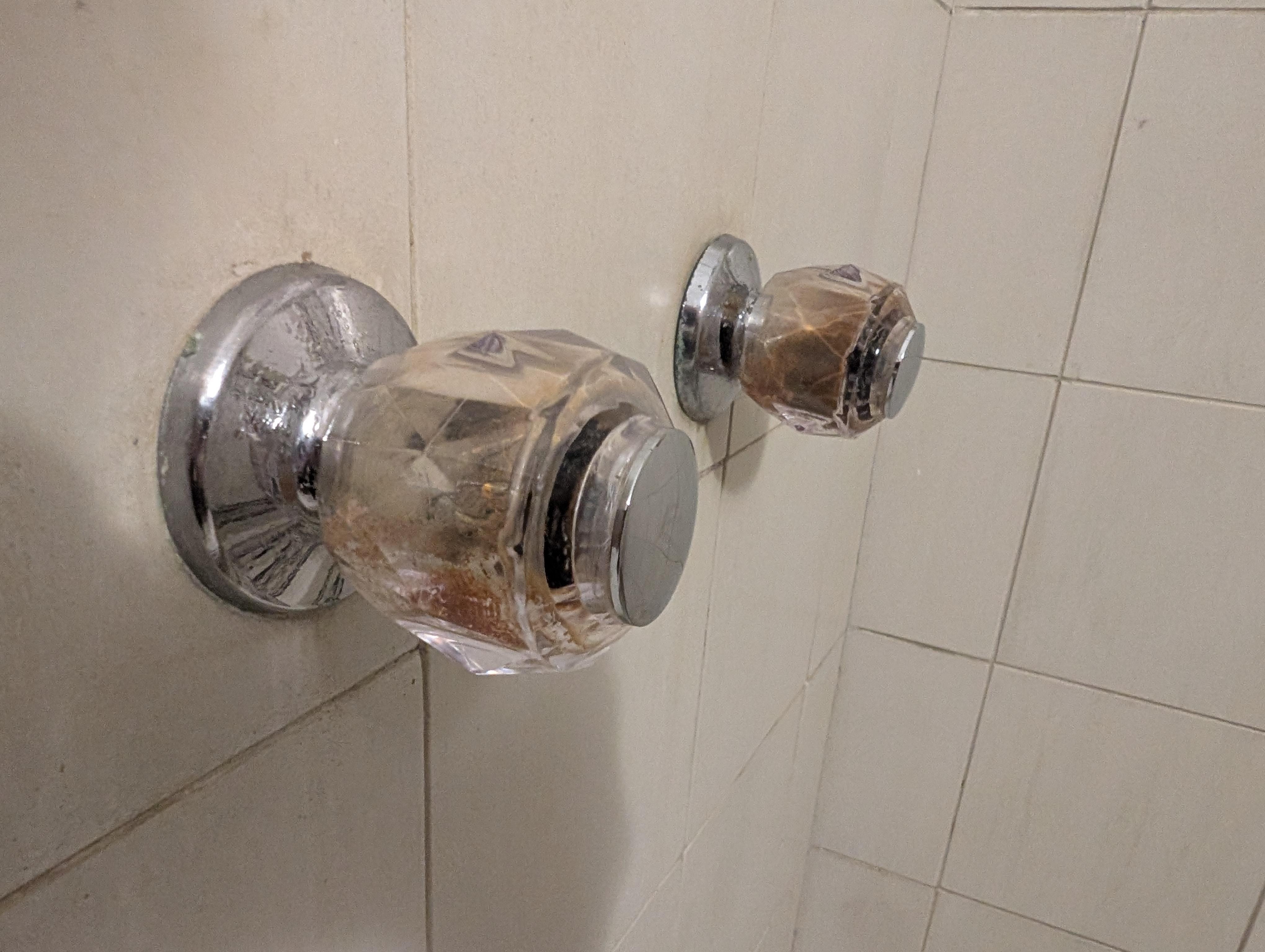 Mold of all types everywhere. Absolutely unsafe. 