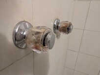 Mold of all types everywhere. Absolutely unsafe.