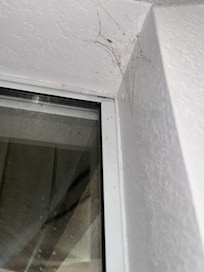 Spiderwebs littered the suite