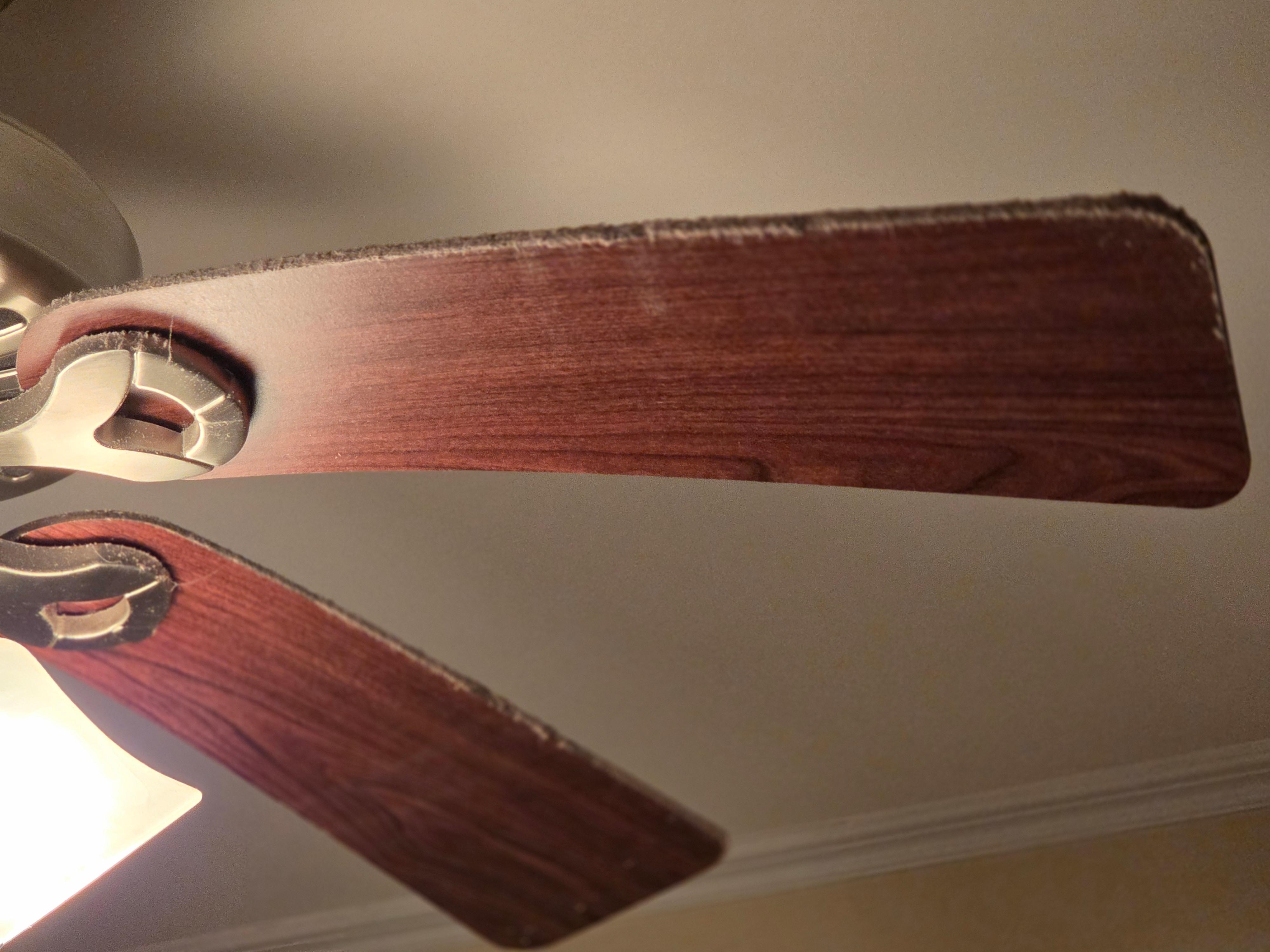 Dust caked on every fan/exhaust