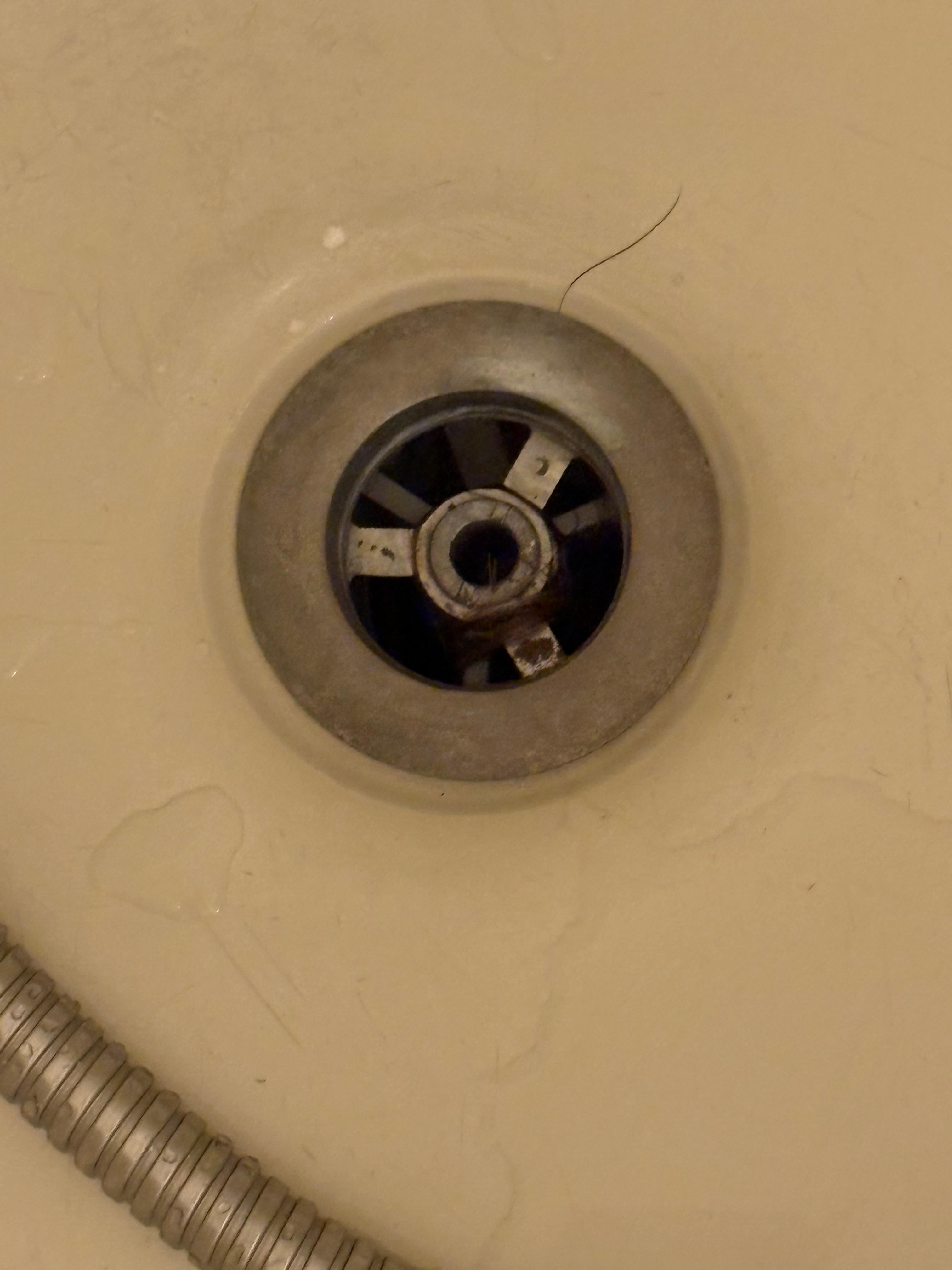 Hair in plughole (not ours)! 