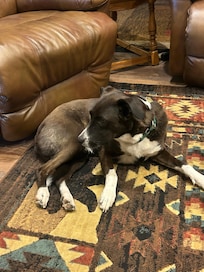 Loved playing with Cooper