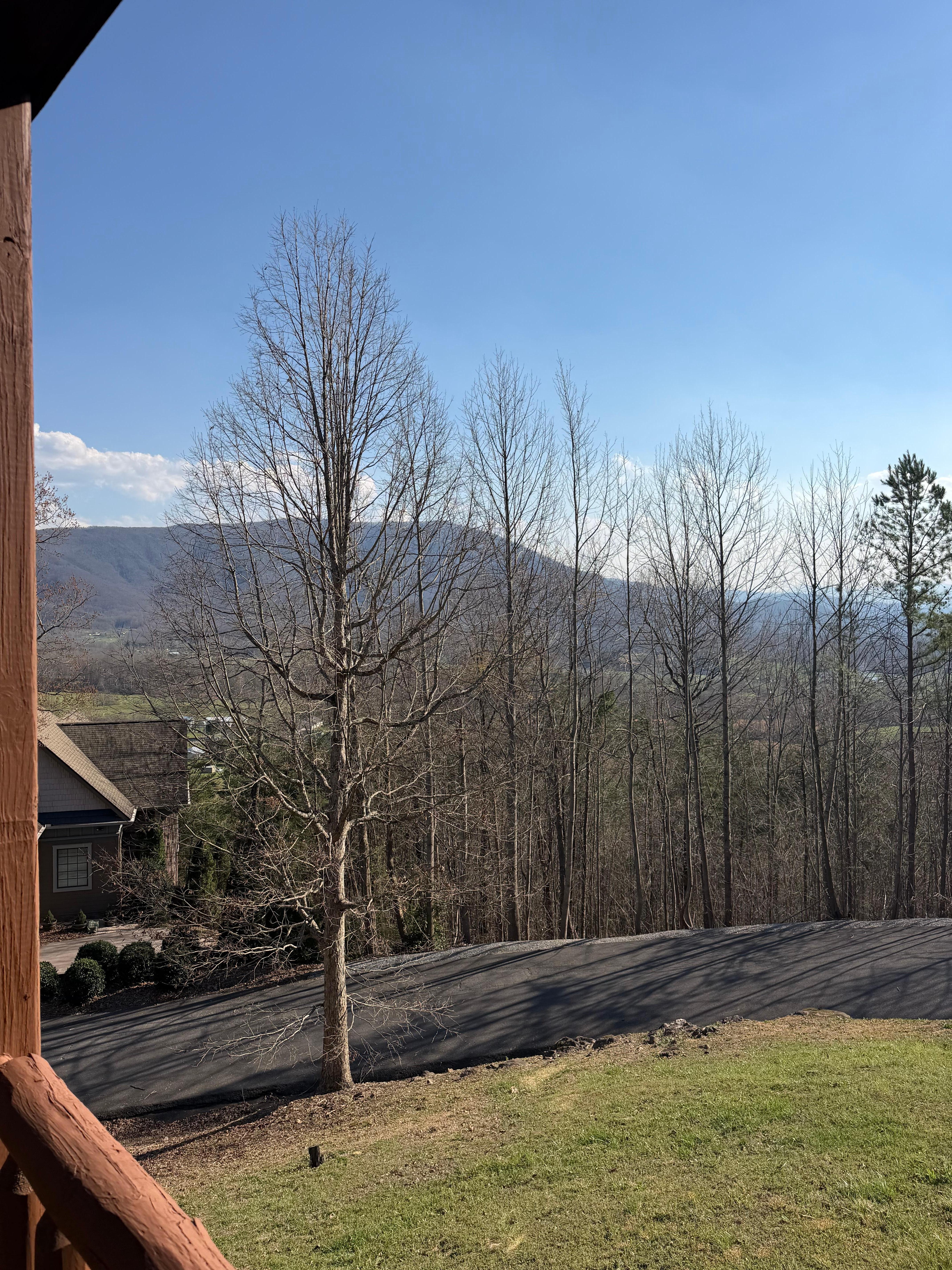 Yet another view. This cabin has amazing views.