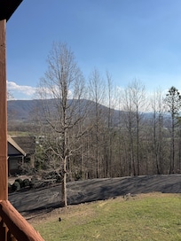 Yet another view. This cabin has amazing views.