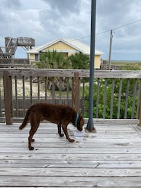 Fabulous deck with ocean views.