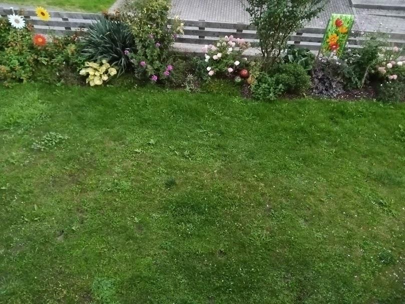 Und noch einmal von einer anderen Seite ein Blick in den Garten.