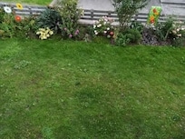 Und noch einmal von einer anderen Seite ein Blick in den Garten.