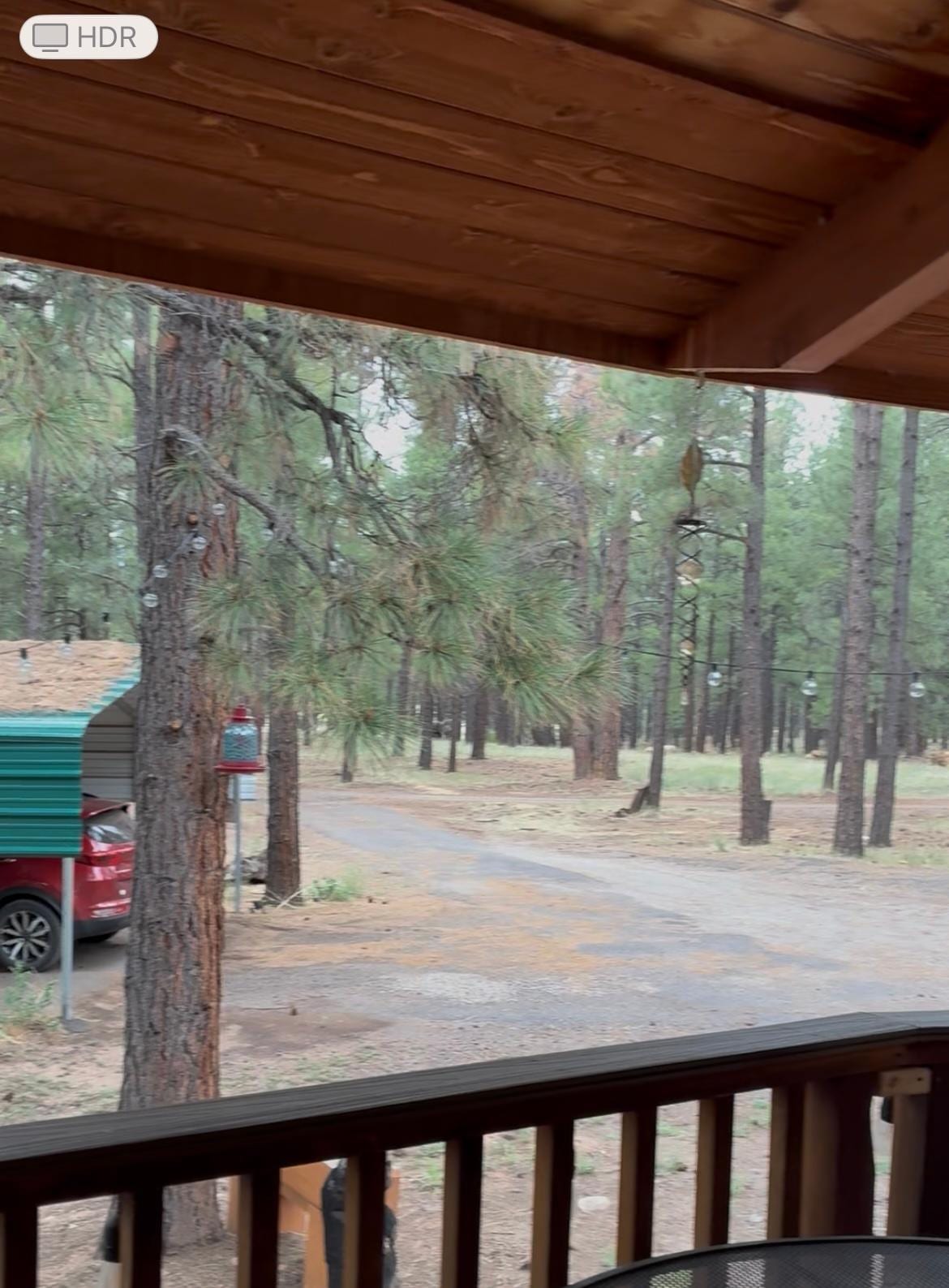 View from deck