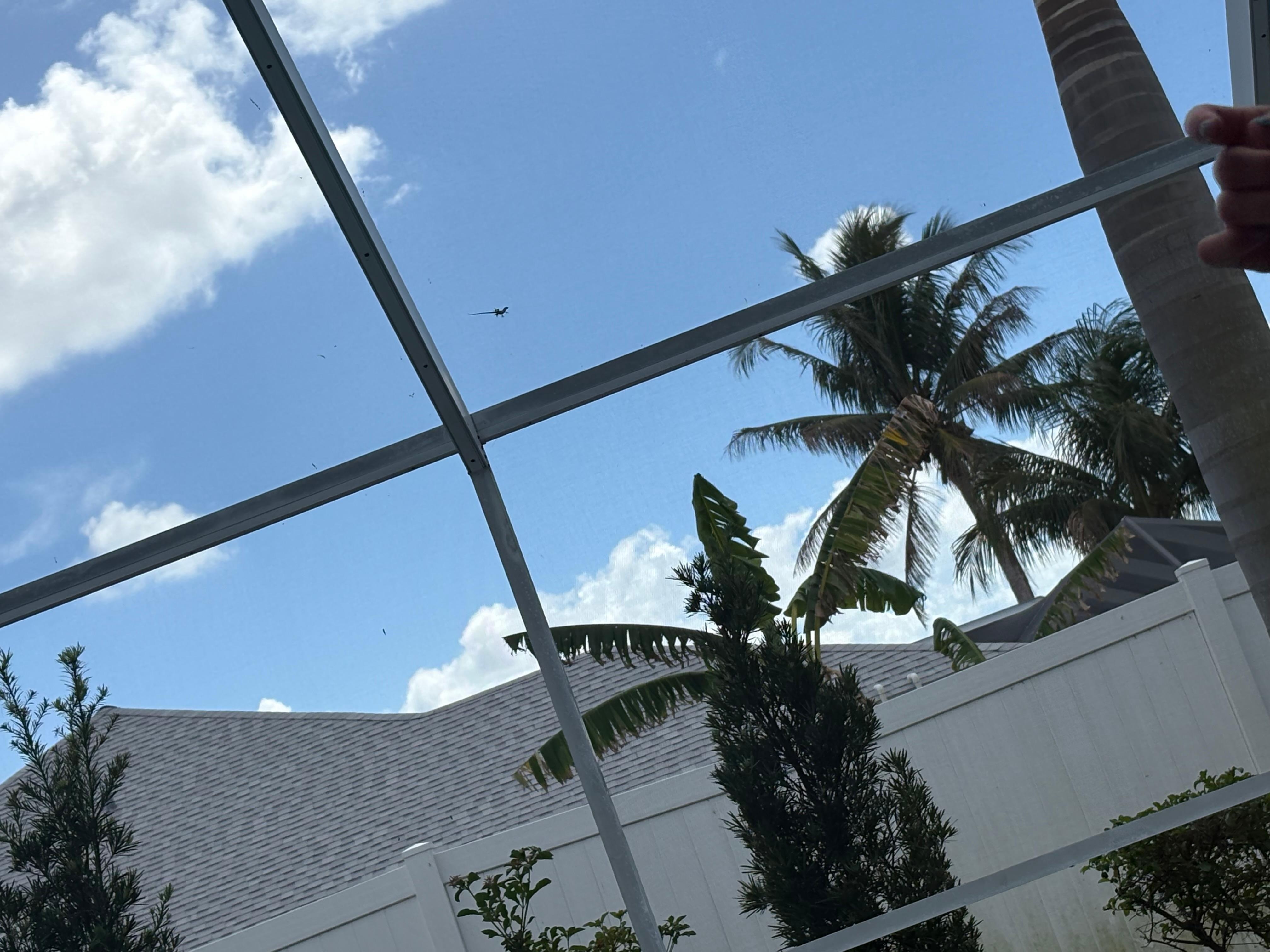 View from the lounge chairs in the pool area.