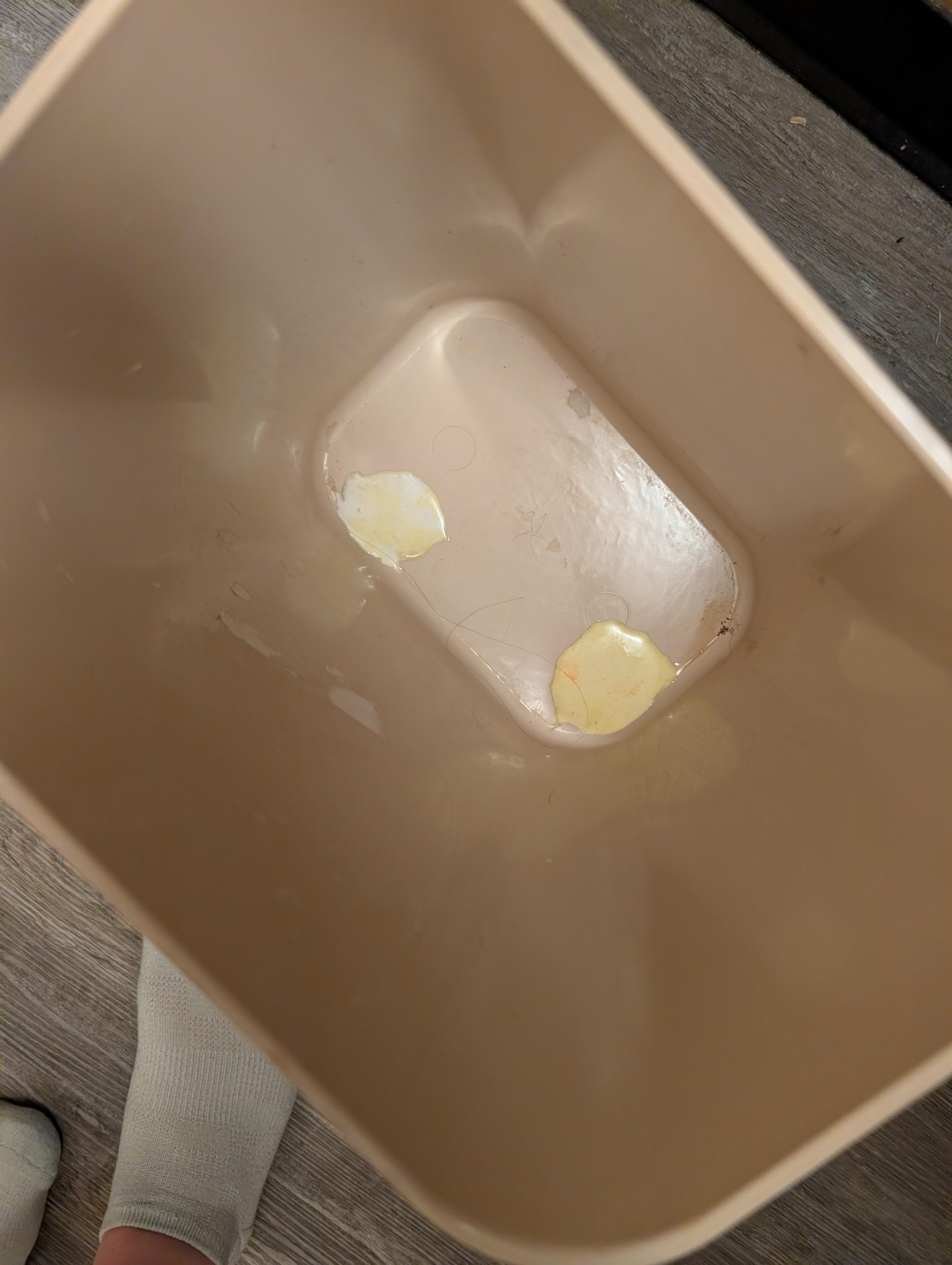 Inside the trash can after the bag was removed. I checked the bag for holes to make sure it wasn't our bag leaking. It was not our bag.