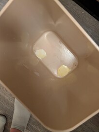 Inside the trash can after the bag was removed. I checked the bag for holes to make sure it wasn't our bag leaking. It was not our bag.