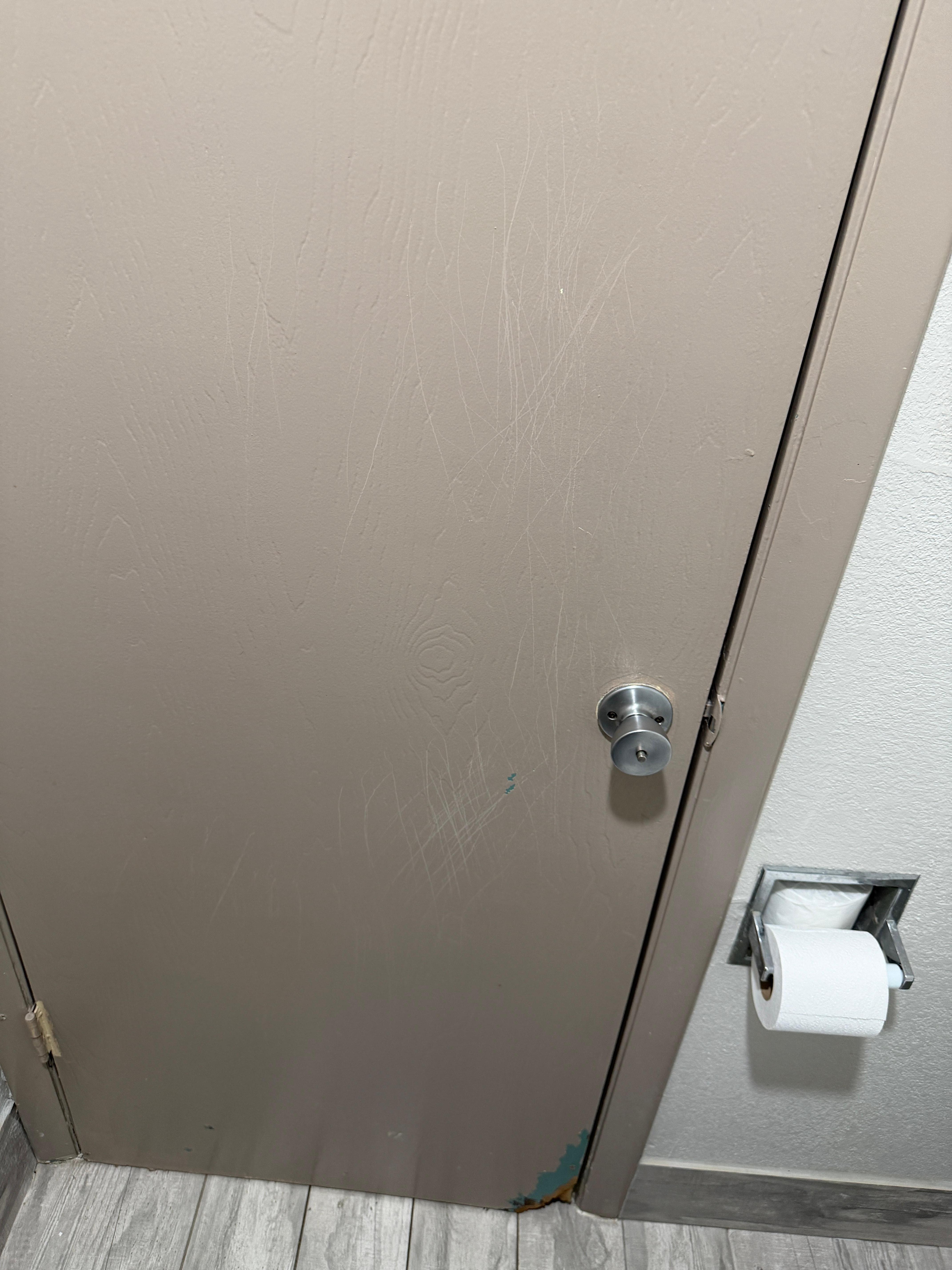 Previous resident definitely had a dog.