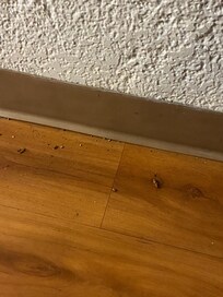 Under the fridge, in which did not work!!