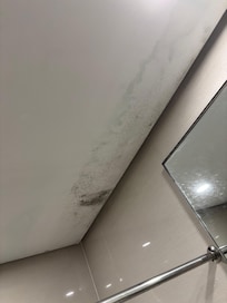 molds on the ceiling