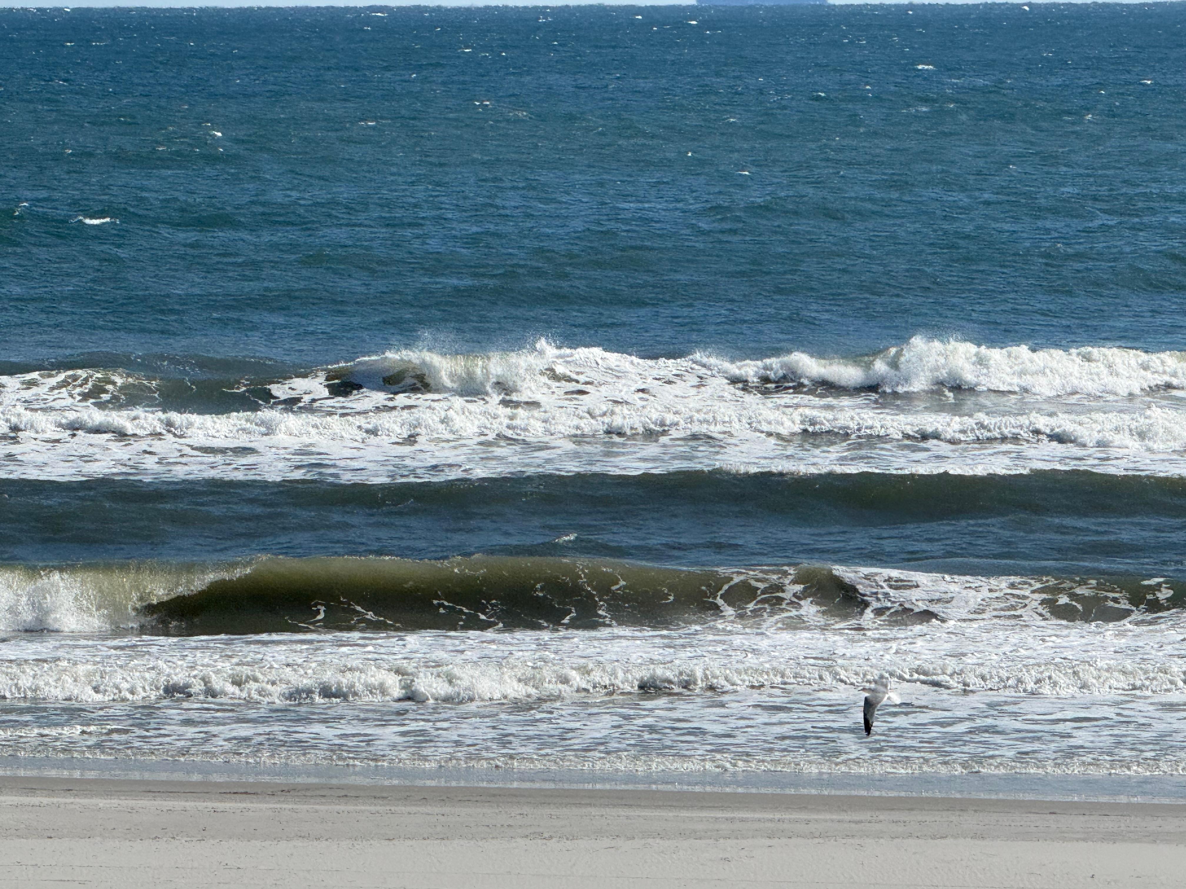 Listening to the waves is my favorite way ro relax