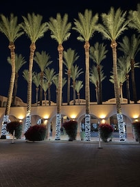 Great night lighting of the Palms