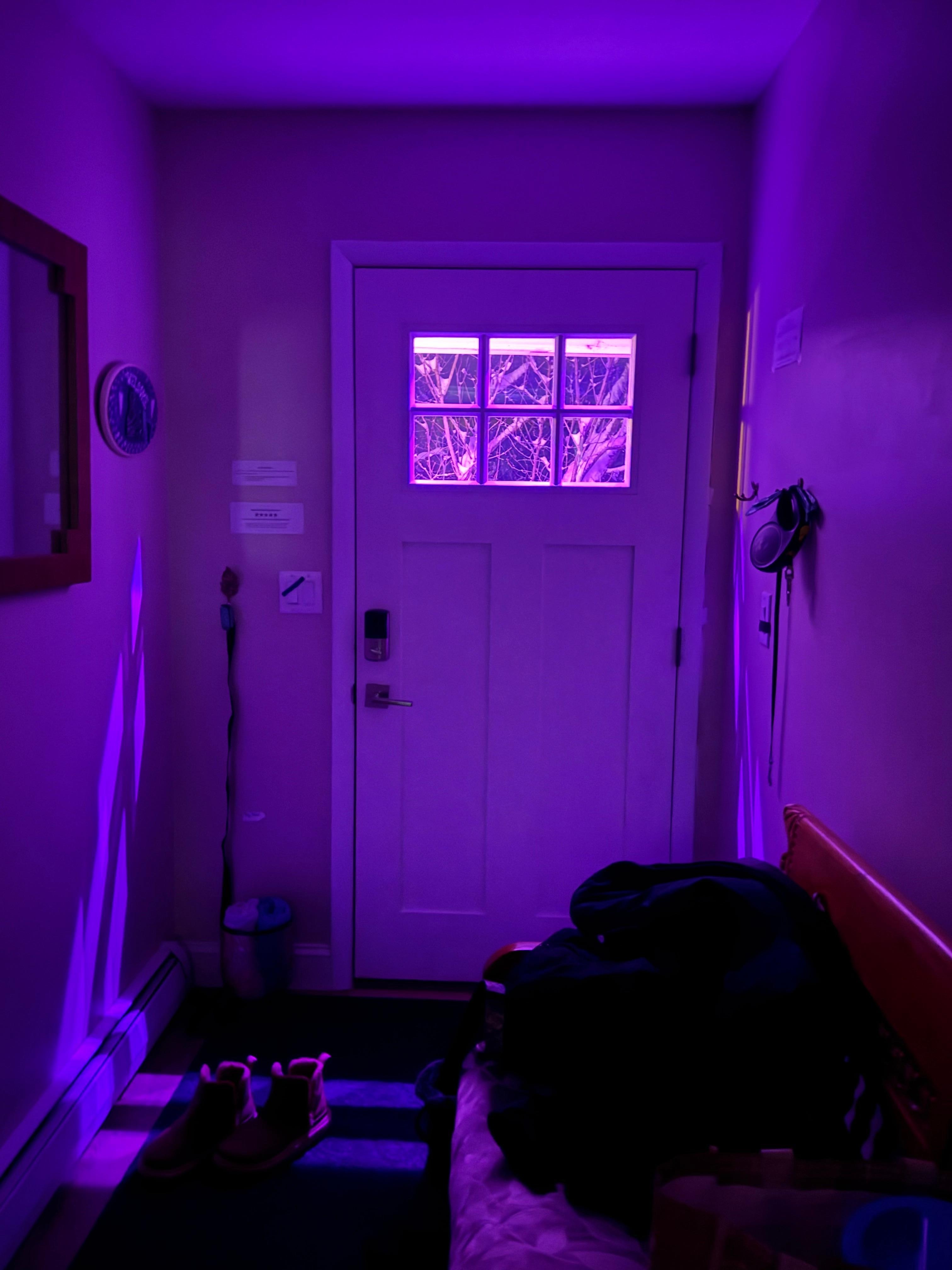 Outdoor lighting was helpful and looked great in the snow.