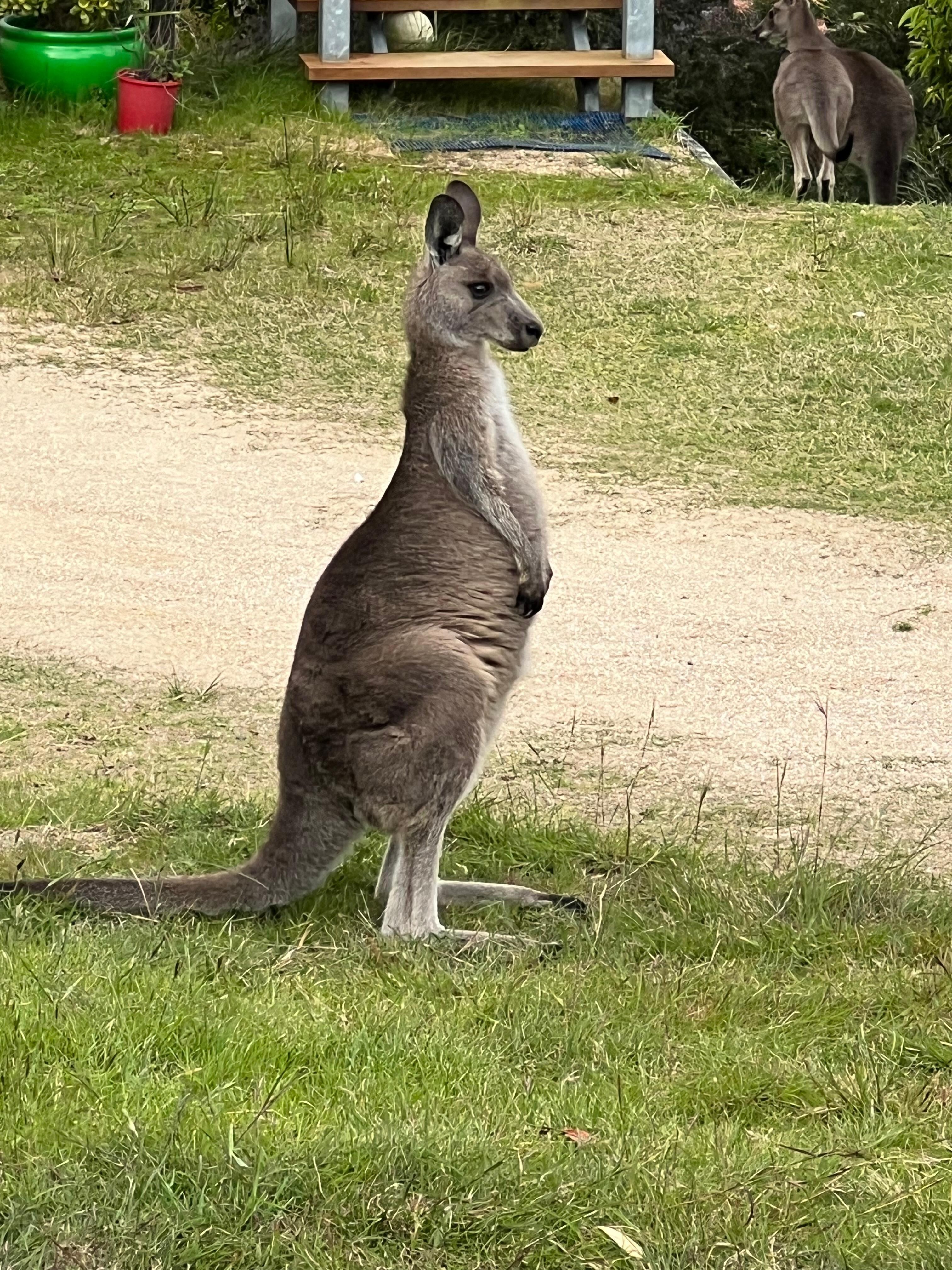Visitors out the front of the property