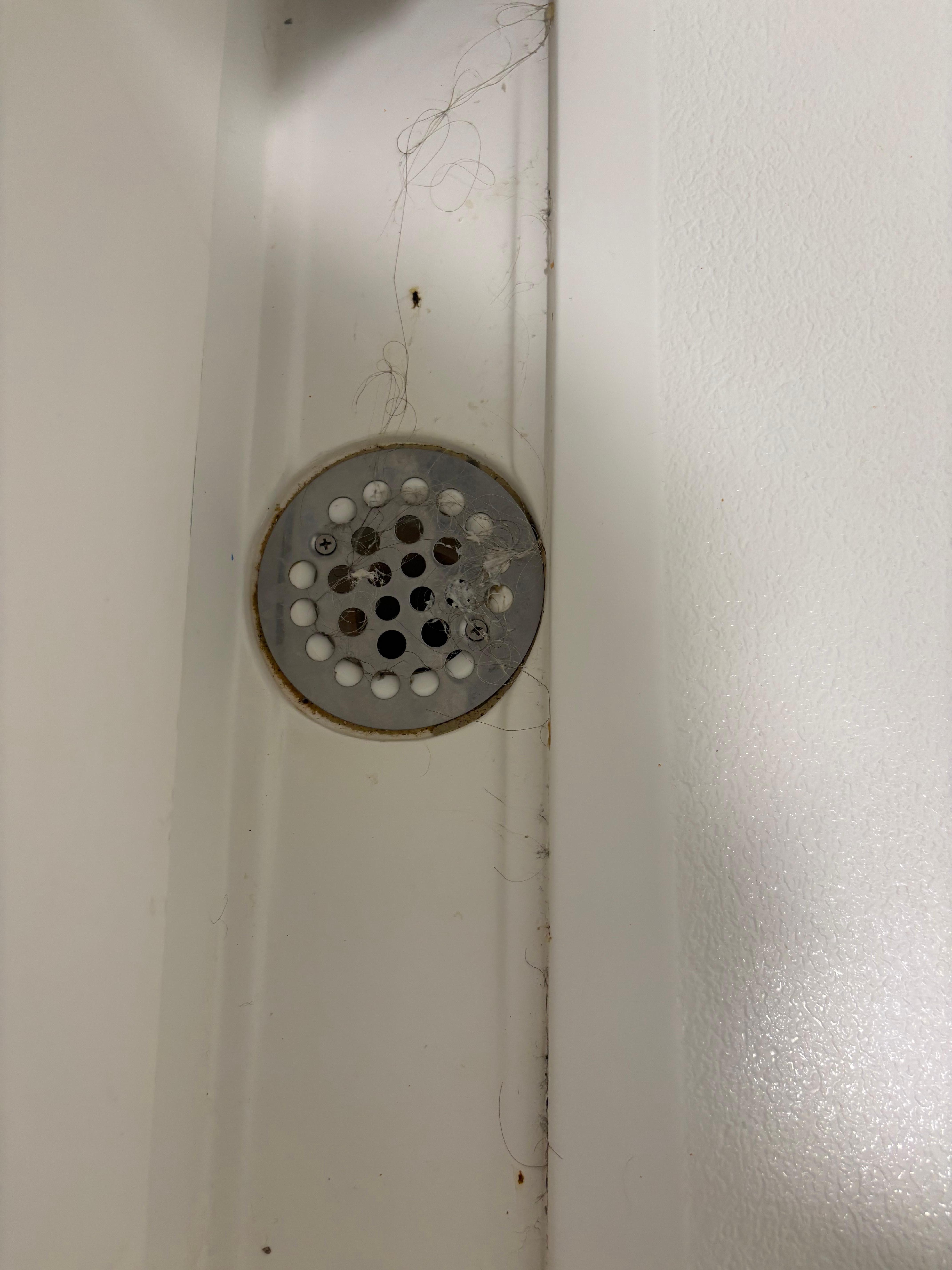 Hair in the drain of the tub 