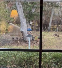 We had some welcome visitors.