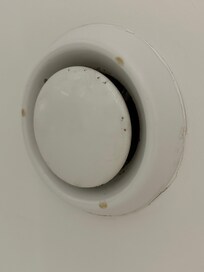 Mold in shower air vent