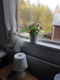 Utsikt från rummet.