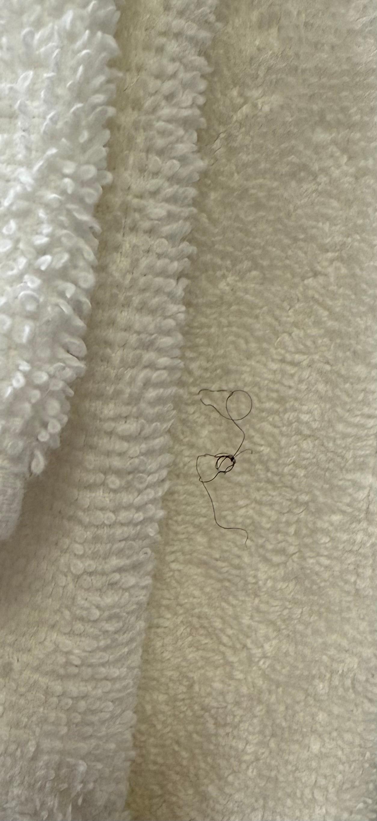 Is this a fuzz or hair on my bathroom towel?