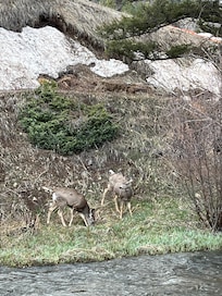 Picture taken from deck outside our room.