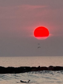 Beyond Beautiful Sunset!
This is an untouched photo!