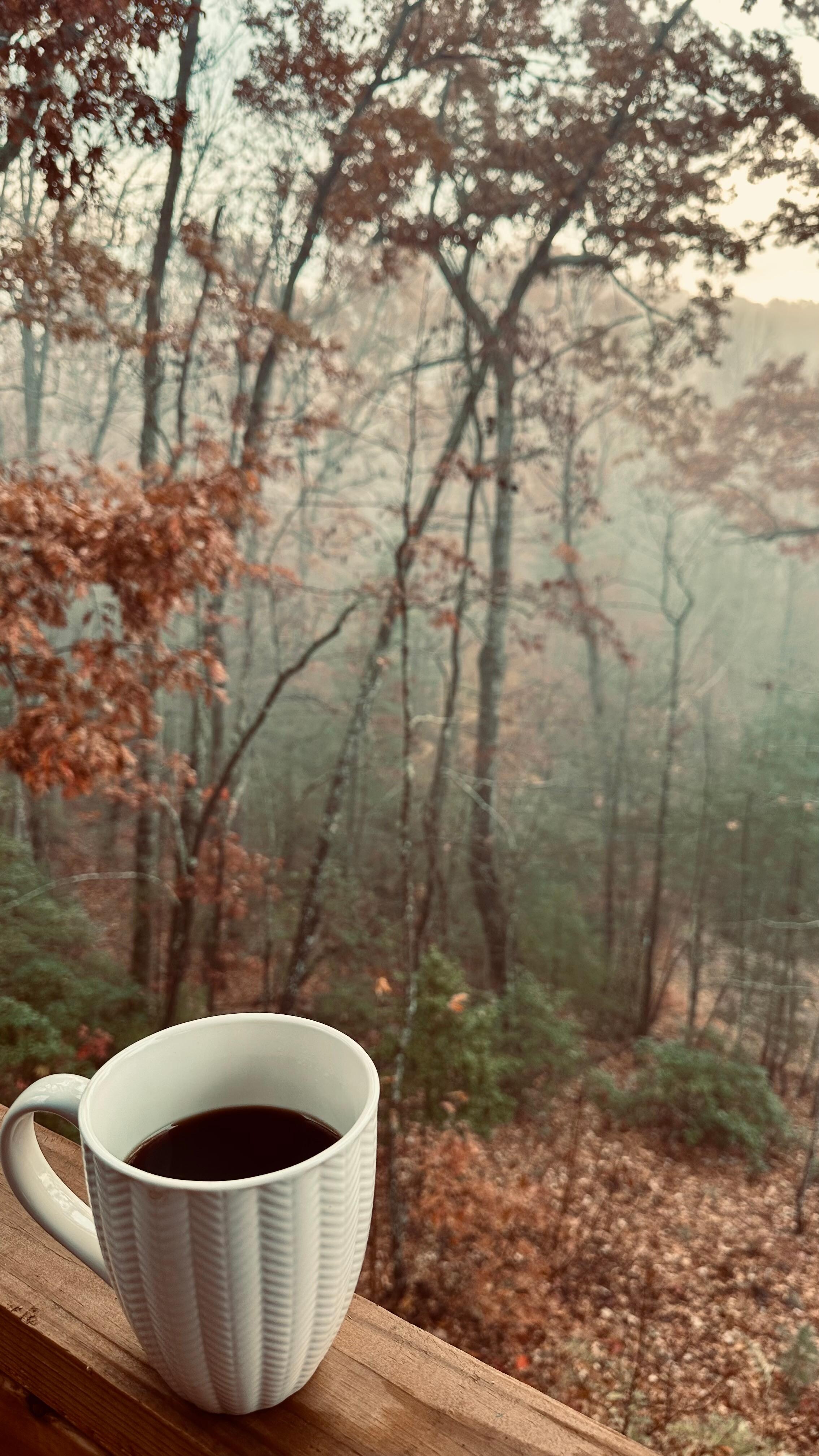 Coffee on the balcony surrounded by trees was heavenly to wake up to each morning.