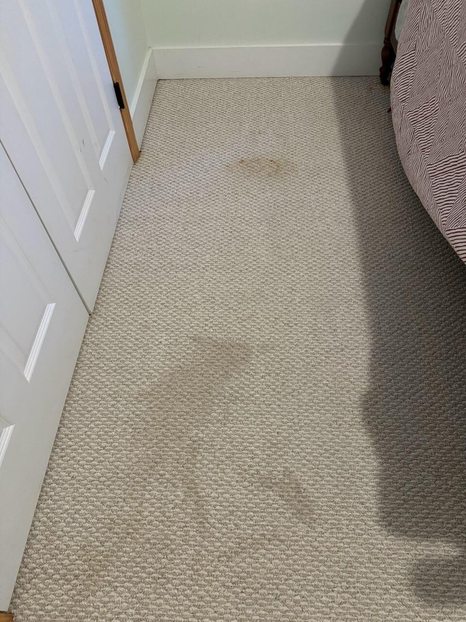 Carpet