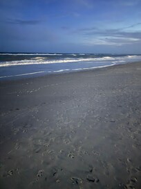Beach walking at night