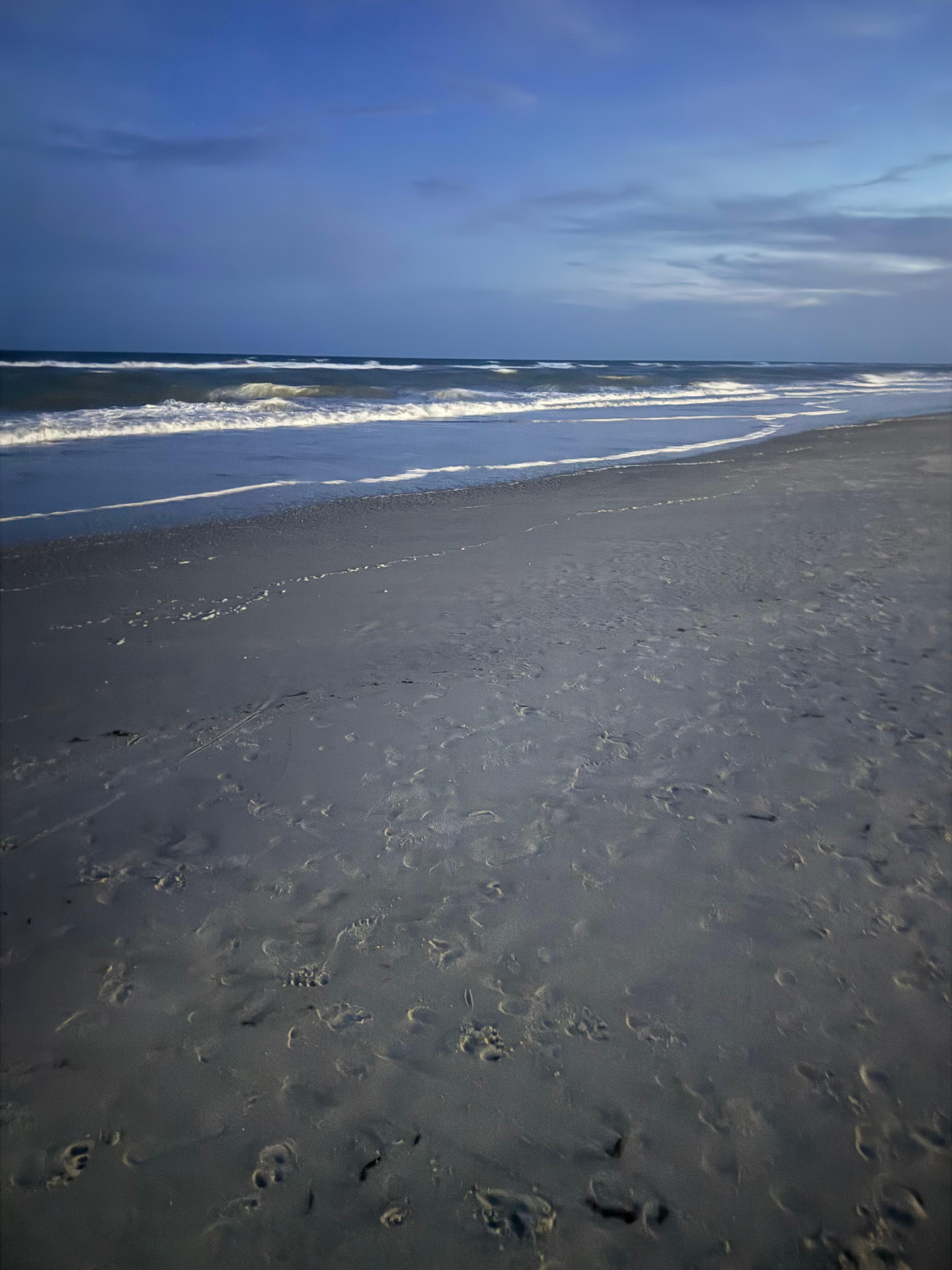 Beach walking at night