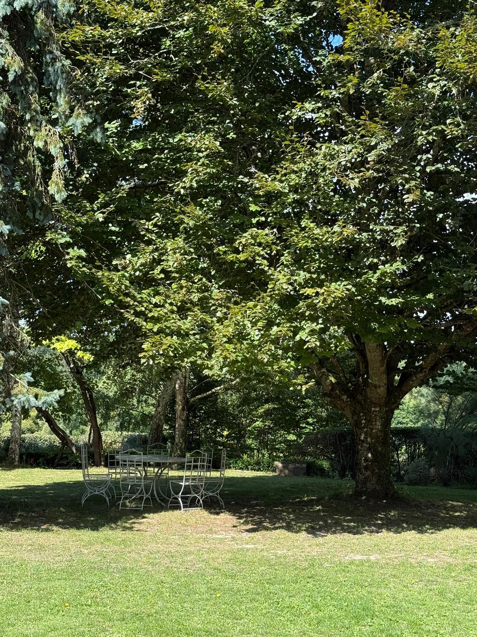 Un second espace pour déjeuner à l'ombre. 