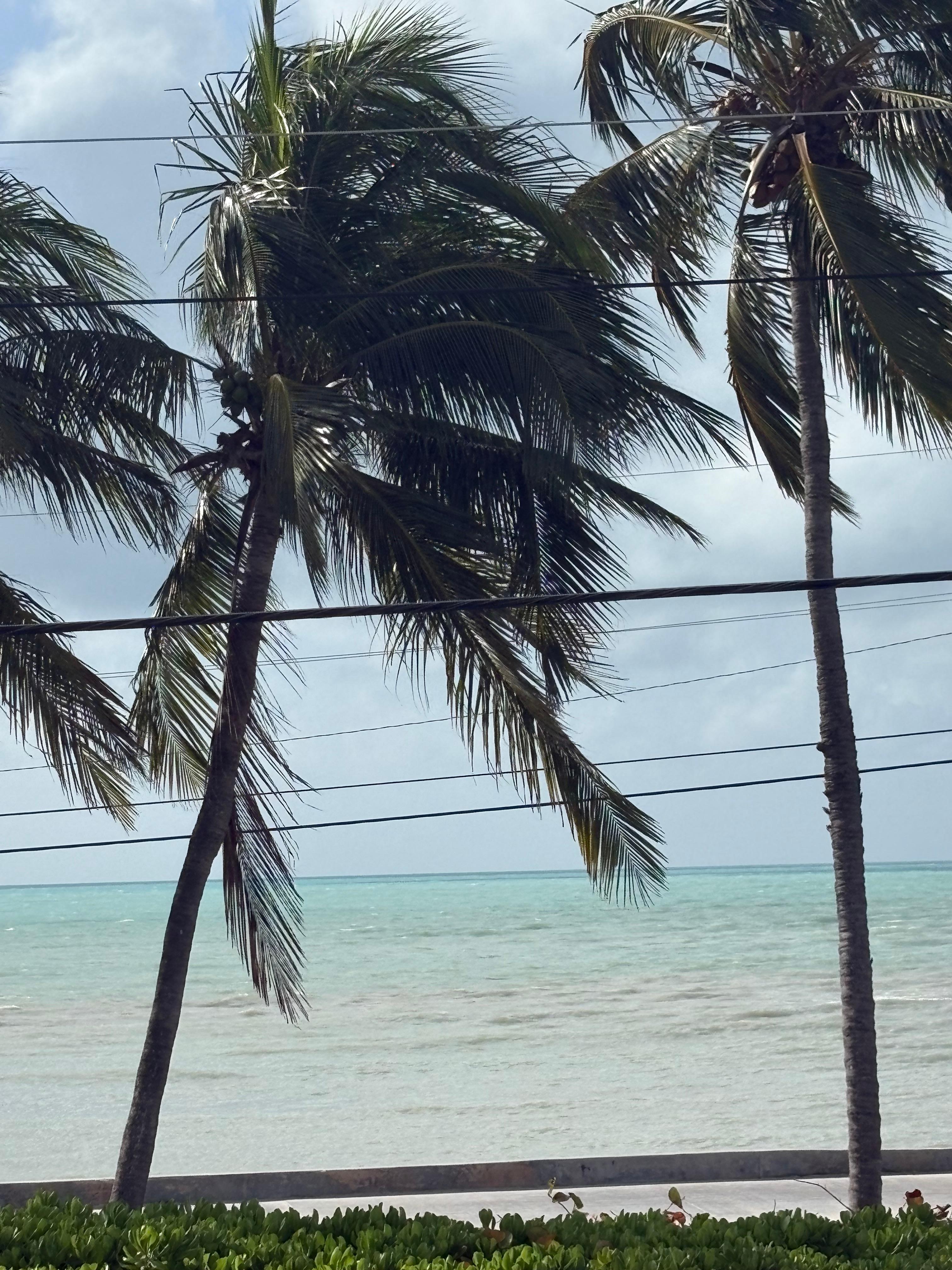 Another view from our room!