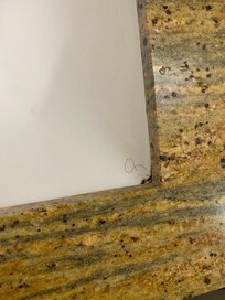 Black hairs in the sink