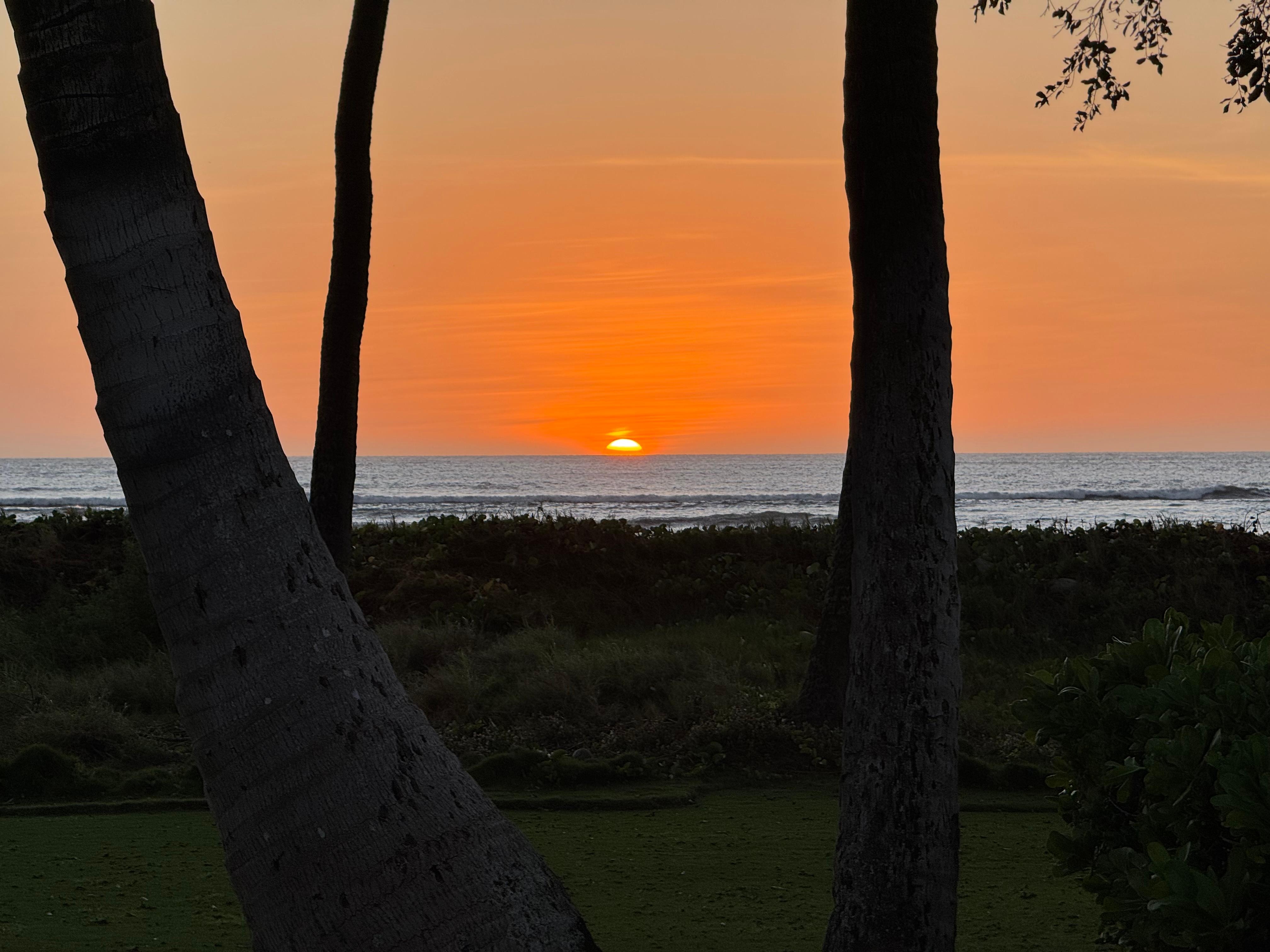 Sunset from back porch