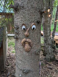 Funny faces to welcome you on your walk in.