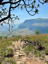Blick auf dem Weg zum Mushroom-Rock